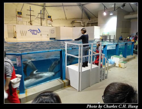 晚冬北海道–Day 4–尼克斯海洋公園（登別マリンパークニクス）