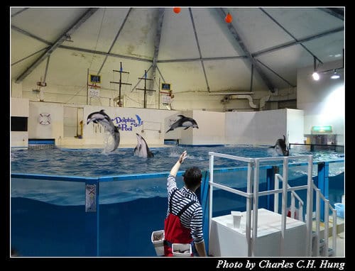 晚冬北海道–Day 4–尼克斯海洋公園（登別マリンパークニクス）