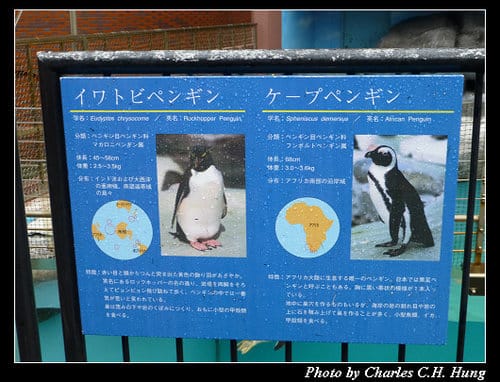 晚冬北海道–Day 4–尼克斯海洋公園（登別マリンパークニクス）