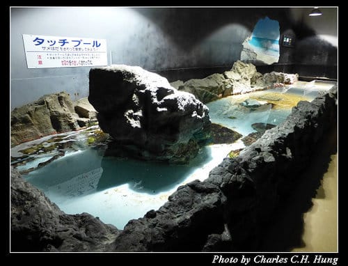 晚冬北海道–Day 4–尼克斯海洋公園（登別マリンパークニクス）