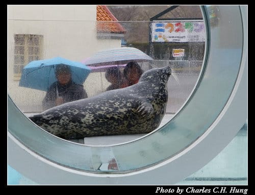 晚冬北海道–Day 4–尼克斯海洋公園（登別マリンパークニクス）