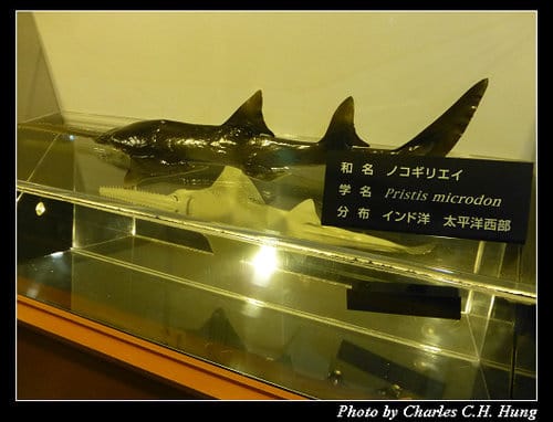 晚冬北海道–Day 4–尼克斯海洋公園（登別マリンパークニクス）