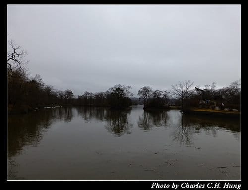 晚冬北海道–Day 4–大沼國定公園
