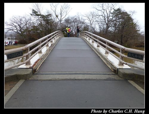 晚冬北海道–Day 4–大沼國定公園