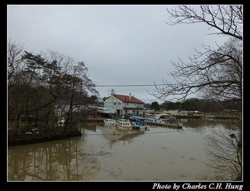 晚冬北海道–Day 4–大沼國定公園