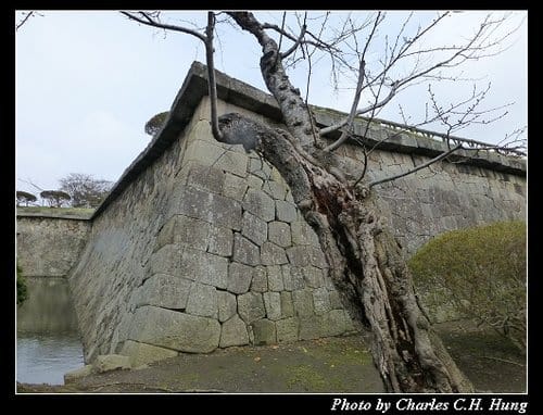 晚冬北海道–Day 5–五稜郭公園