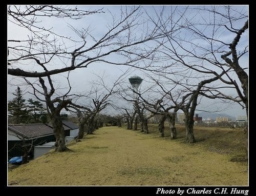 晚冬北海道–Day 5–五稜郭公園