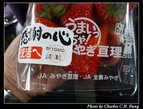 晚冬北海道–Day 5–函館朝市