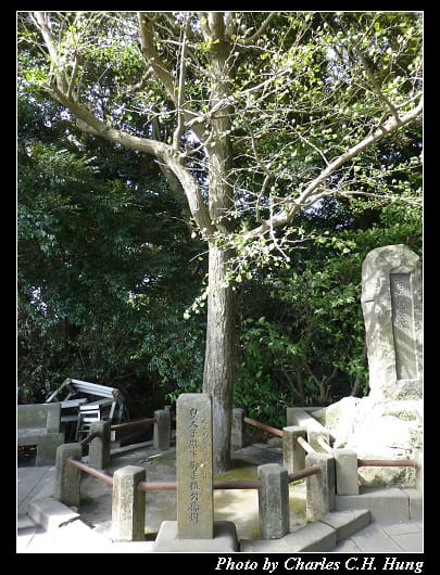 城山展望台_12.jpg