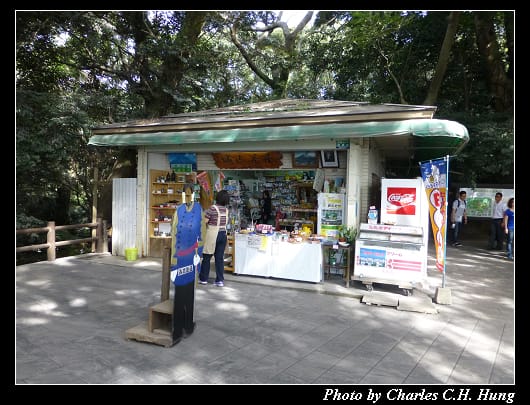 城山展望台_15.jpg