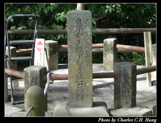 城山展望台_11.jpg