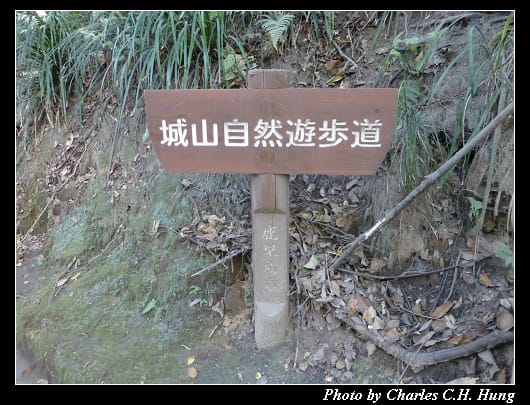 城山展望台_18.jpg