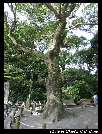 城山展望台_10.jpg