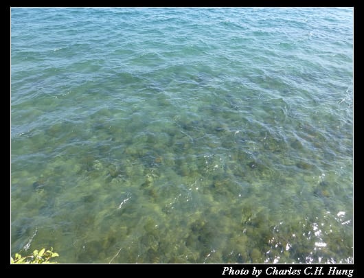池田湖_19.jpg