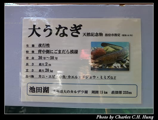 池田湖_09.jpg