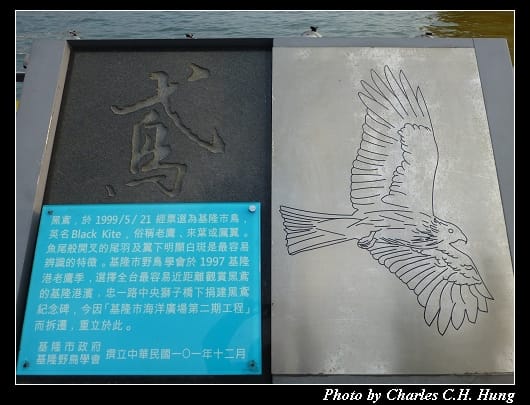 黃色小鴨_27.jpg