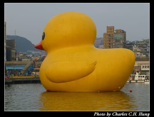 黃色小鴨_25.jpg