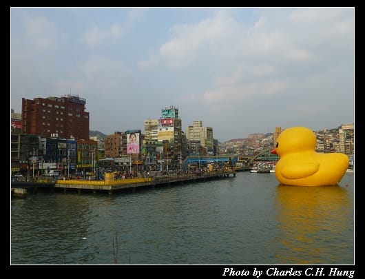 黃色小鴨_30.jpg