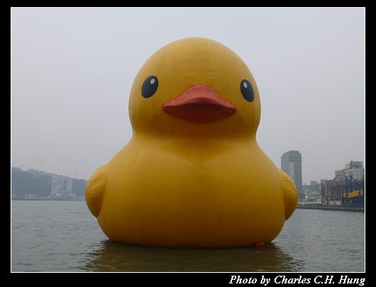 黃色小鴨_03.jpg