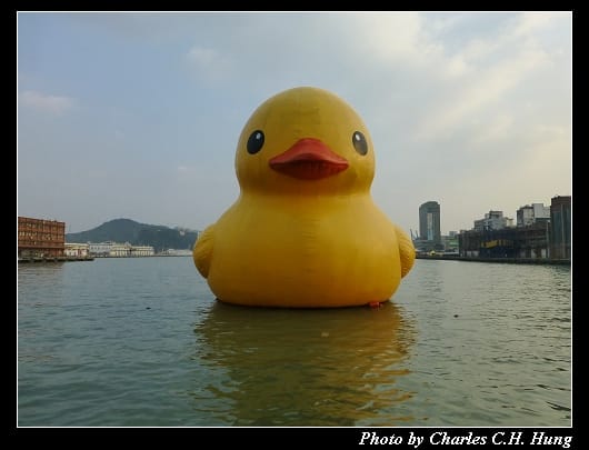 黃色小鴨_22.jpg