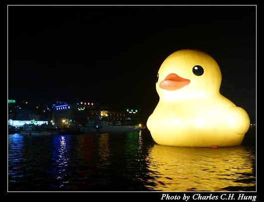 黃色小鴨_08.jpg