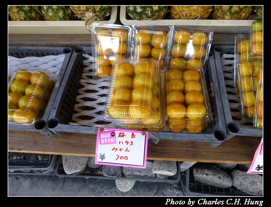 有村溶岩_25.jpg