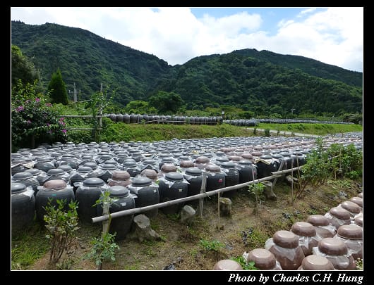 黒酢本舗_04.jpg