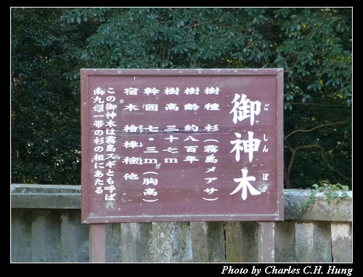 霧島神宮_09.jpg
