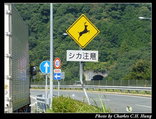 坂本PA_07.jpg