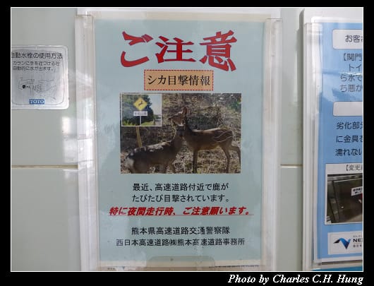 坂本PA_06.jpg