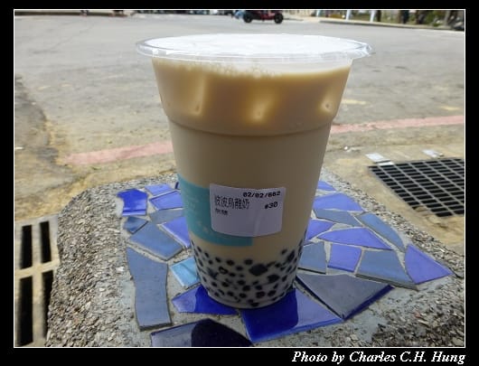 河堤上的貓_09.jpg