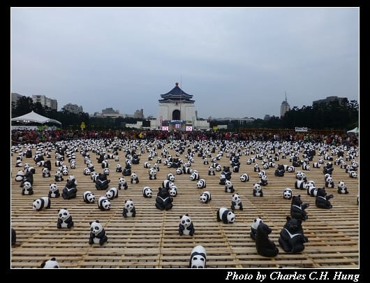 紙貓熊_10.jpg