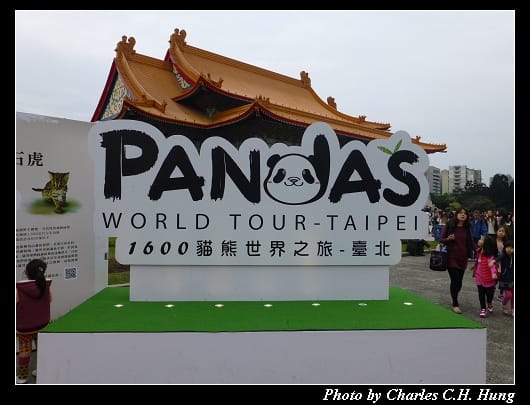 紙貓熊_01.jpg
