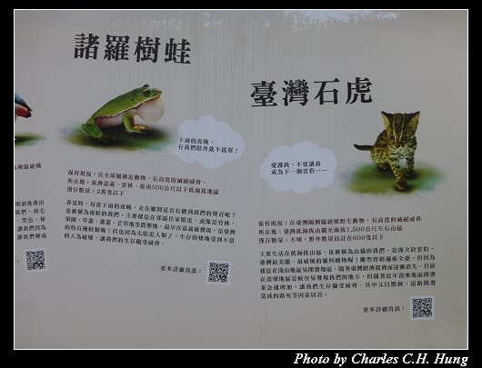 紙貓熊_08.jpg
