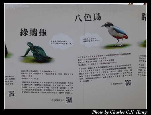 紙貓熊_07.jpg