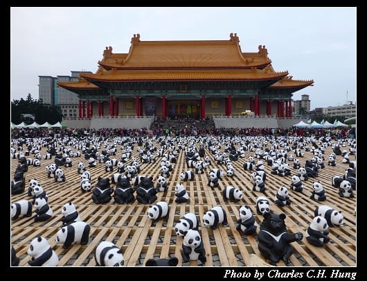 紙貓熊_12.jpg