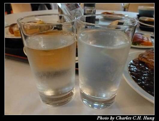 巖鷲_07.jpg