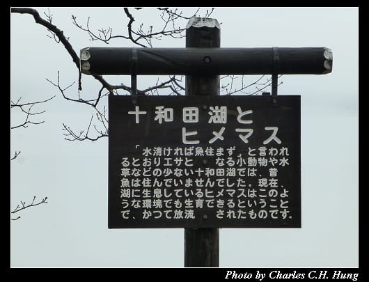 十和田湖_04.jpg 十和田湖_04.jpg