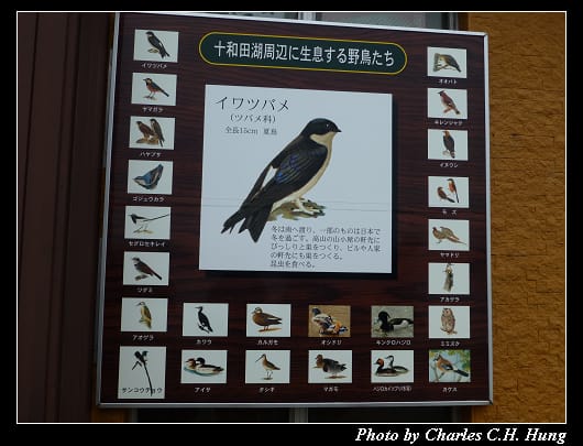 十和田湖_31.jpg 十和田湖_31.jpg