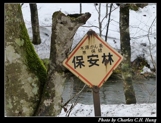 奧入瀨_22.jpg