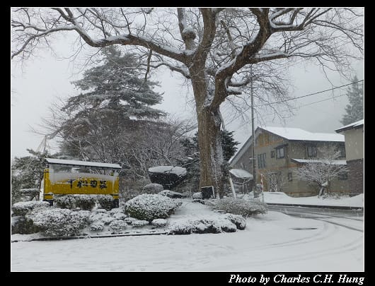 下大雪_12.jpg