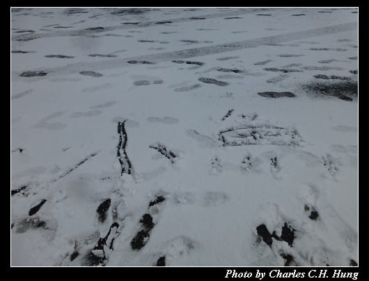 下大雪_18.jpg