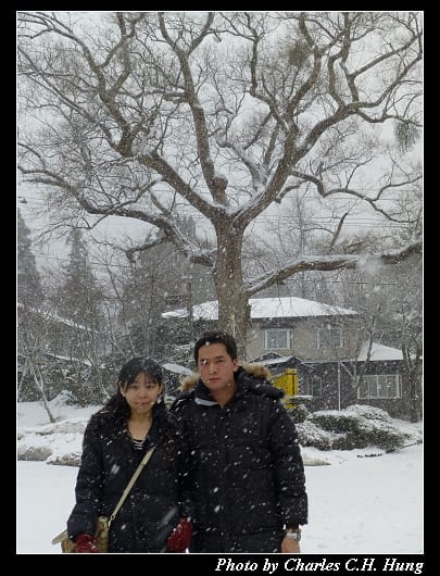 下大雪_11.jpg