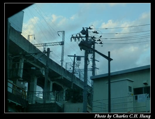 軌道運輸_04.jpg