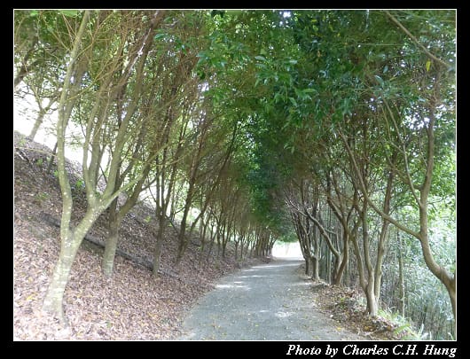 沐心泉_37.jpg 沐心泉_37.jpg
