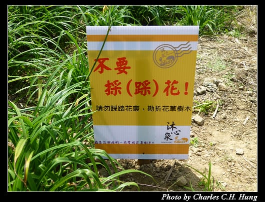 沐心泉_11.jpg 沐心泉_11.jpg
