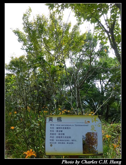 沐心泉_29.jpg 沐心泉_29.jpg