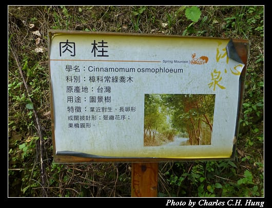 沐心泉_36.jpg 沐心泉_36.jpg