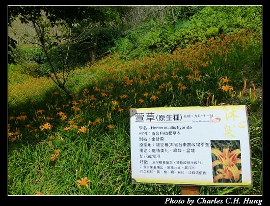 沐心泉_23.jpg 沐心泉_23.jpg