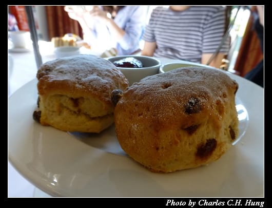 DoubleTree_16.jpg DoubleTree_16.jpg